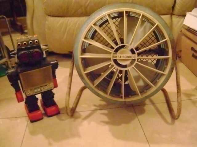 Name:  DSC05213.JPG
Views: 1715
Size:  86.4 KB