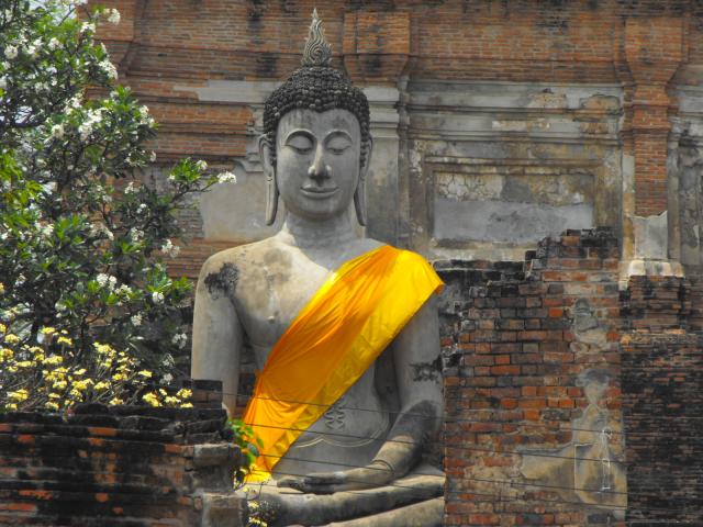 Name:  DSCF0016.jpg
Views: 393
Size:  63.5 KB