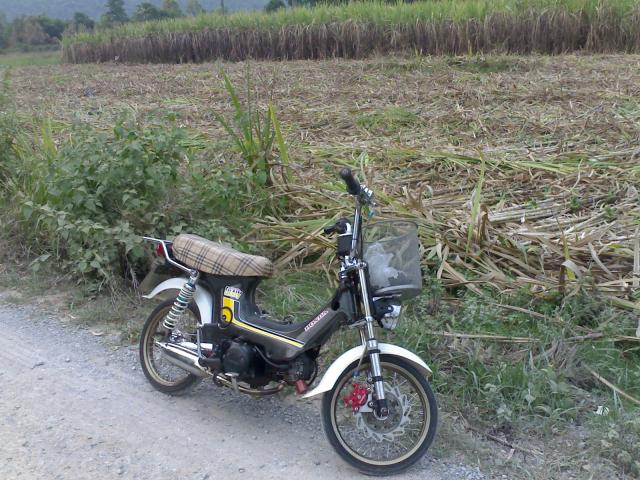 Name:  28032010022.jpg
Views: 1914
Size:  75.6 KB