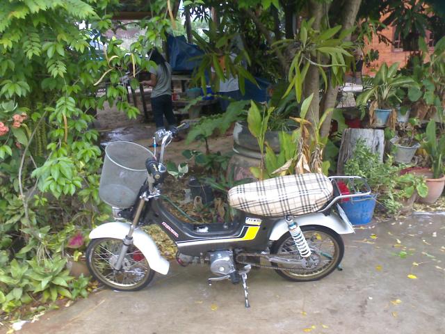 Name:  27032010004.jpg
Views: 1937
Size:  68.6 KB