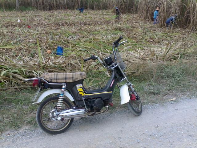 Name:  28032010021.jpg
Views: 1825
Size:  75.2 KB