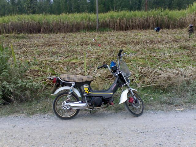 Name:  28032010020.jpg
Views: 1820
Size:  72.5 KB