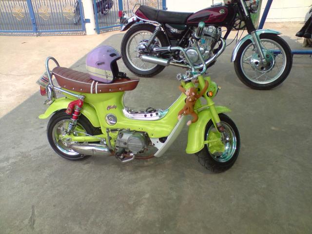 Name:  Copy of P270212_11.20[04].jpg
Views: 861
Size:  51.9 KB