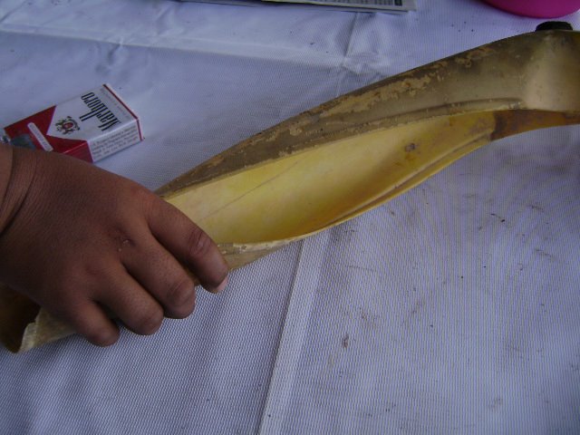 Name:  528988_2654464060173_1812987327_1621334_1324659011_n.jpg
Views: 284
Size:  57.4 KB