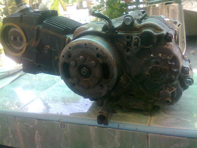 Name:  Photo0224.jpg
Views: 268
Size:  41.4 KB