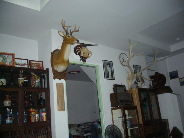 Name:  P1010030.jpg
Views: 1622
Size:  33.5 KB