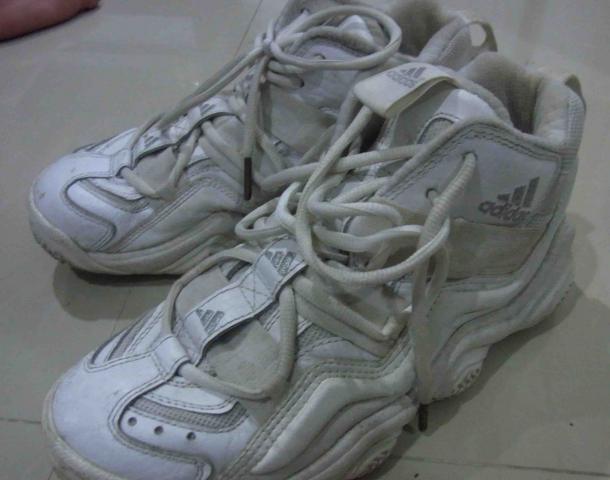 Name:  0977.jpg
Views: 301
Size:  33.7 KB