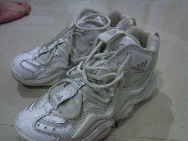 Name:  0977.jpg
Views: 685
Size:  32.2 KB