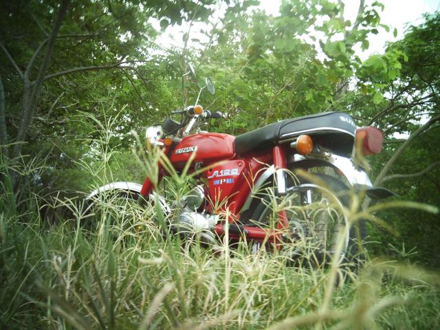 Name:  SUNP0086.jpg
Views: 815
Size:  76.0 KB