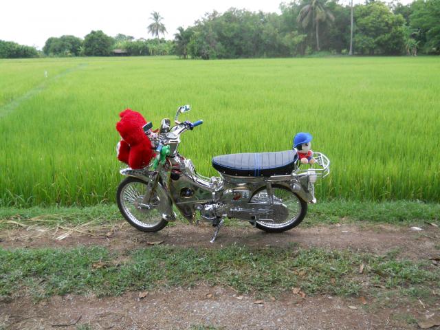 Name:  DSCN2791.jpg
Views: 461
Size:  60.9 KB