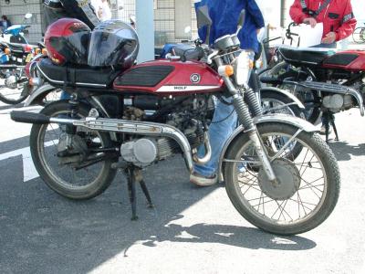 Name:  wolf3.jpg
Views: 1085
Size:  30.8 KB