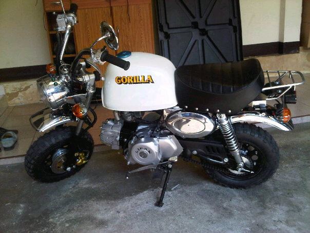 Name:  gorilla.jpg
Views: 951
Size:  54.3 KB