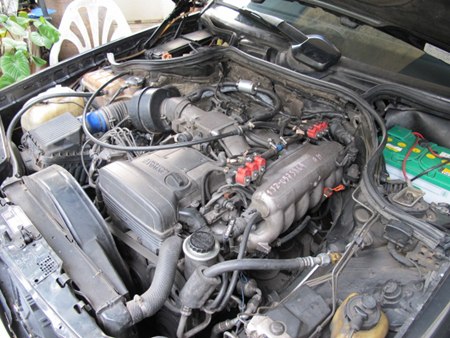 Name:  IMG_3094resize.JPG
Views: 5829
Size:  58.4 KB