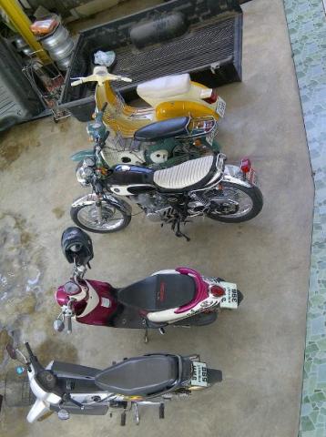 Name:  530468_303716059709753_100002140834651_642543_115903743_n.jpg
Views: 681
Size:  34.0 KB