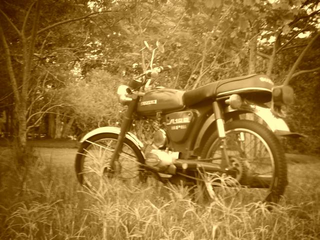 Name:  SUNP0087.jpg
Views: 766
Size:  59.5 KB