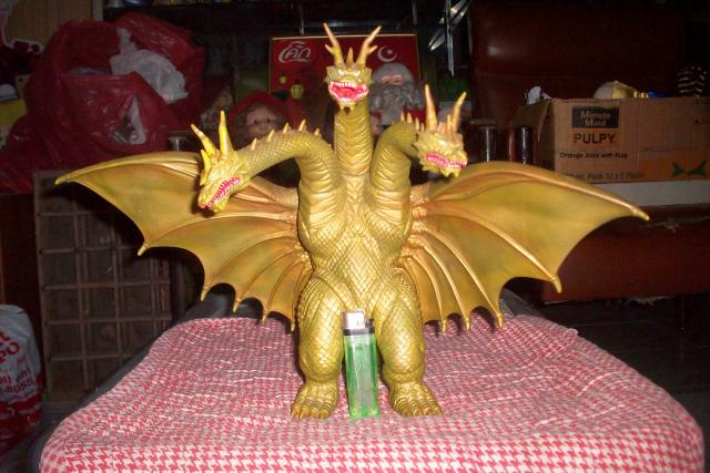 Name:  113_3063.jpg
Views: 2333
Size:  51.4 KB