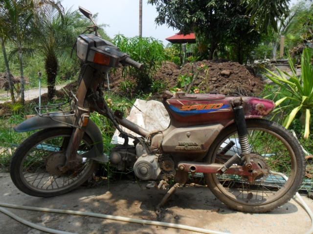Name:  SAM_1226.jpg
Views: 733
Size:  68.1 KB