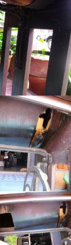 Name:  SANY3947-vert.jpg
Views: 976
Size:  14.0 KB