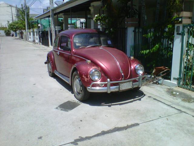 Name:  IMG11381-20120519-1308.jpg
Views: 1799
Size:  47.6 KB