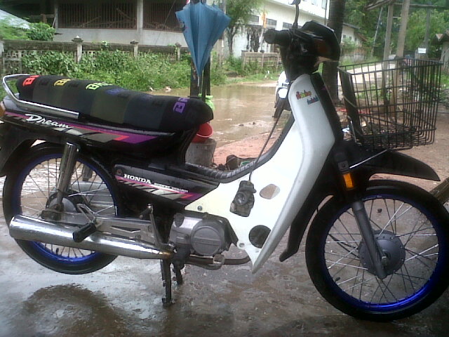 Name:  IMG01397-20120519-1456.jpg
Views: 2572
Size:  89.1 KB