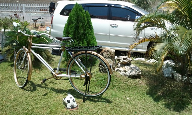 Name:  11 (3).jpg
Views: 489
Size:  114.1 KB