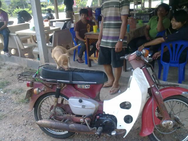 Name:  05032011122.jpg
Views: 643
Size:  56.4 KB