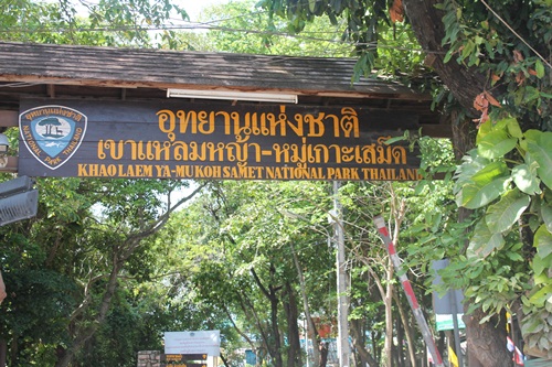 Name:  IMG_3167.JPG
Views: 1108
Size:  123.1 KB