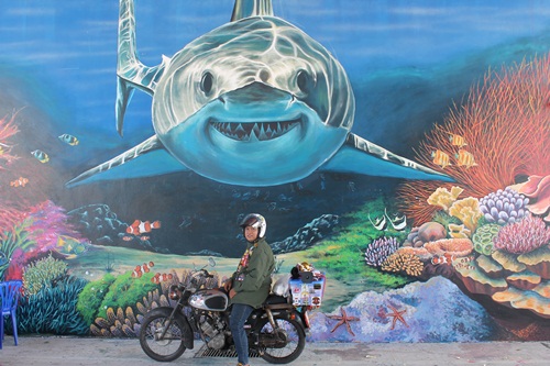 Name:  IMG_3395.JPG
Views: 387
Size:  93.9 KB