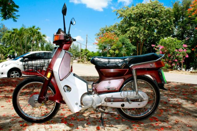 Name:  img_7638-qpr.jpg
Views: 960
Size:  75.3 KB