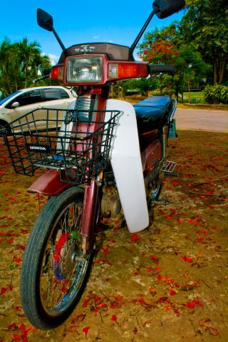 Name:  img_7639-qpr.jpg
Views: 908
Size:  38.9 KB