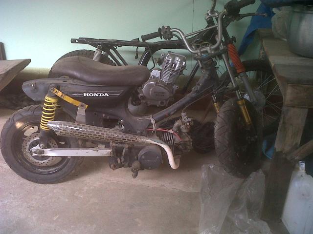 Name:  IMG01365-20120219-0856.jpg
Views: 1742
Size:  42.0 KB