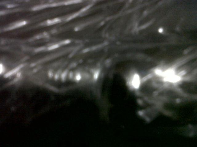 Name:  IMG00207-20120523-1934.jpg
Views: 679
Size:  22.8 KB