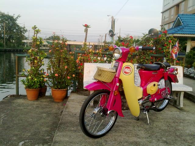 Name:  17022011082.jpg
Views: 407
Size:  66.4 KB