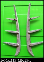 Name:  4img_0080.jpg
Views: 145
Size:  12.3 KB