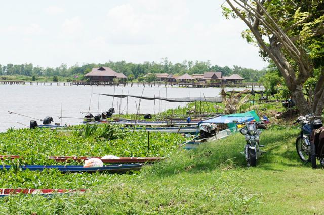 Name:  Chamai-20120424-00248_ (13).jpg
Views: 307
Size:  67.5 KB