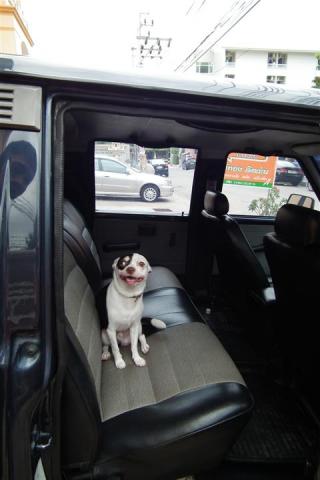 Name:  DSCF2733 (Small).jpg
Views: 2808
Size:  20.4 KB