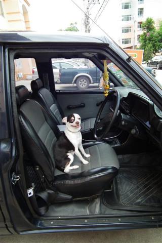 Name:  DSCF2732 (Small).jpg
Views: 2888
Size:  27.6 KB