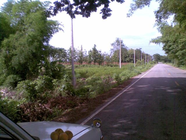 Name:  28052012(002).jpg
Views: 372
Size:  55.5 KB