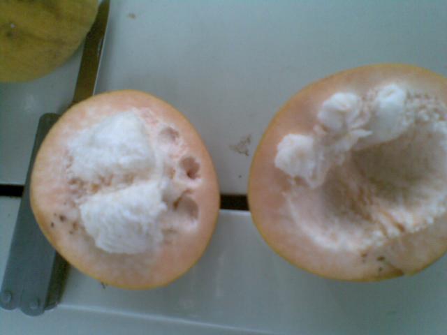 Name:  28052012(004).jpg
Views: 365
Size:  21.3 KB