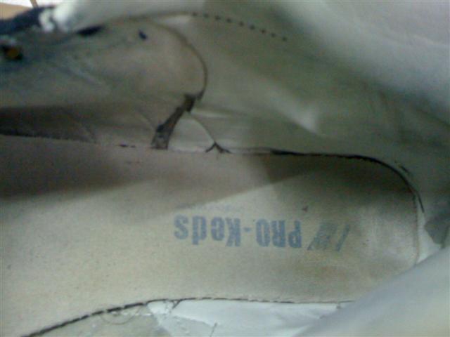 Name:  IMG_0884 (Small).jpg
Views: 1201
Size:  30.1 KB