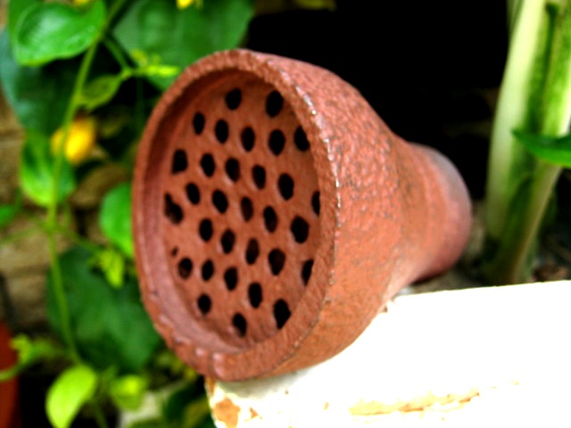 Name:  IMG_0025.JPG
Views: 773
Size:  70.9 KB