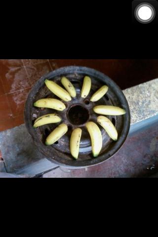 Name:  Picture 1063.jpg
Views: 457
Size:  16.4 KB