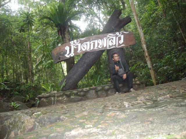 Name:  SANY7132.jpg
Views: 1212
Size:  71.5 KB