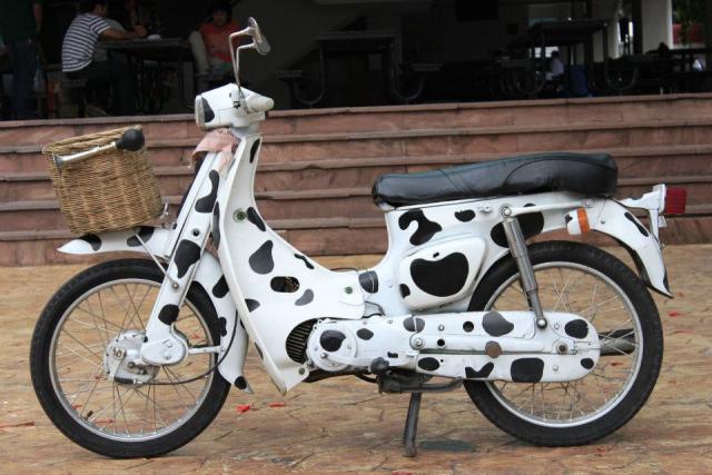 Name:  554458_3387495648063_2029396851_n.jpg
Views: 413
Size:  51.4 KB