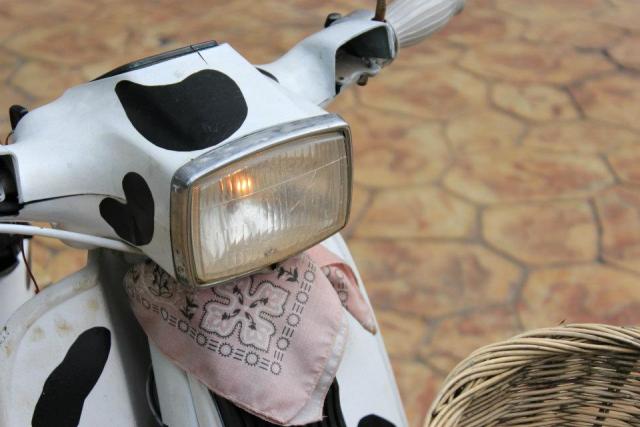 Name:  543719_3387497408107_1524677793_n.jpg
Views: 164
Size:  36.1 KB