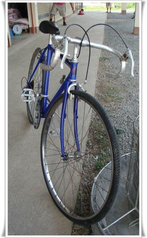 Name:  DSC03255.jpg
Views: 2439
Size:  30.3 KB