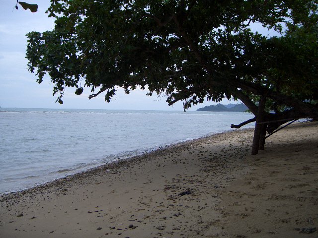 Name:  CIMG1999.JPG
Views: 993
Size:  129.0 KB
