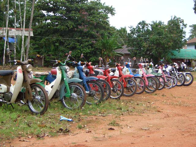 Name:  CIMG2005.JPG
Views: 1000
Size:  130.0 KB