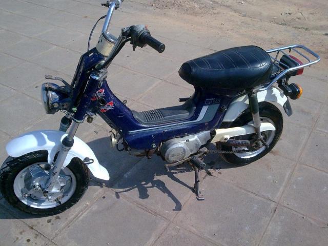 Name:  424369_317411441649571_617740851_n.jpg
Views: 1172
Size:  49.8 KB