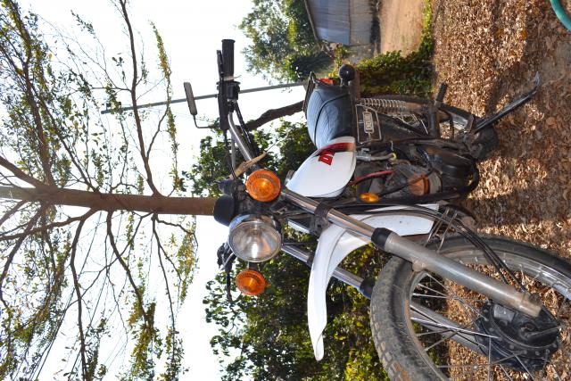 Name:  DSC_0273.jpg
Views: 1714
Size:  87.1 KB